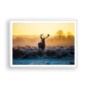 Plakat w białej ramie - Koronowany na swoich włościach - 100x70 cm