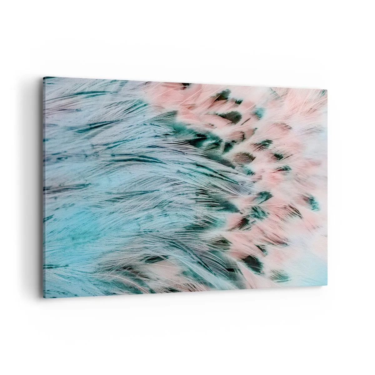 Obraz na płótnie - Zbliżenie na pióra w pastelowych szafirowo-różowych barwach - 120x80cm - Szafirowo-różowy puch - Nowoczesna dekoracja ścienna do salonu, kuchni i sypialni ARTTOR