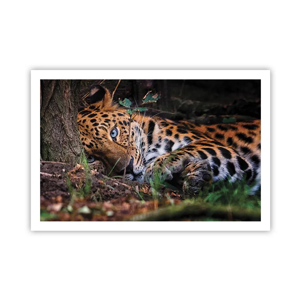 Plakat - Zaufaj mi - 91x61 cm