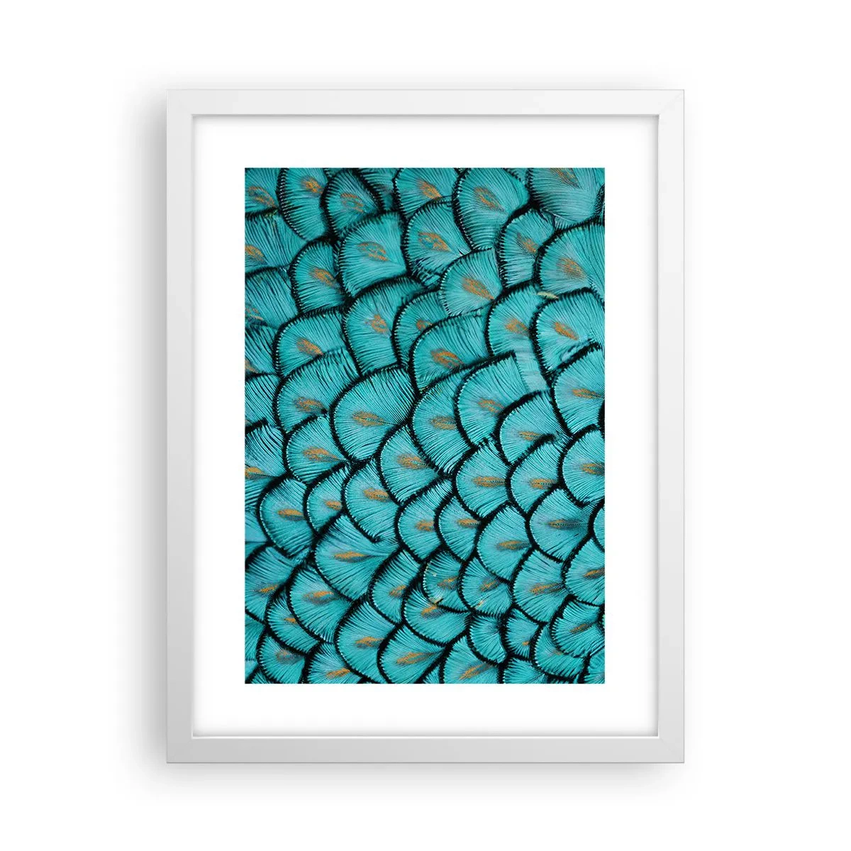 Plakat w białej ramie - Wielka gala piór - 30x40 cm