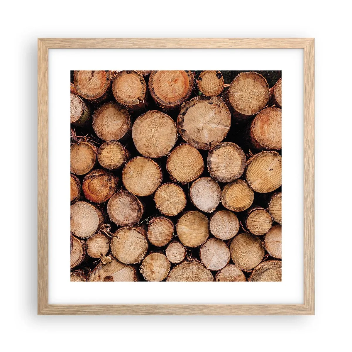 Plakat w ramie jasny dąb - Nowy początek - 40x40 cm