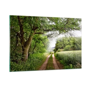 Obraz na szkle - Leśna droga otoczona zielenią w promieniach słońca - 120x80cm - Et in Arcadia ego - Nowoczesna dekoracja ścienna do salonu, kuchni i sypialni ARTTOR