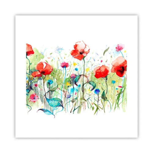 Plakat - Kwitnąca majem łąka - 40x40 cm
