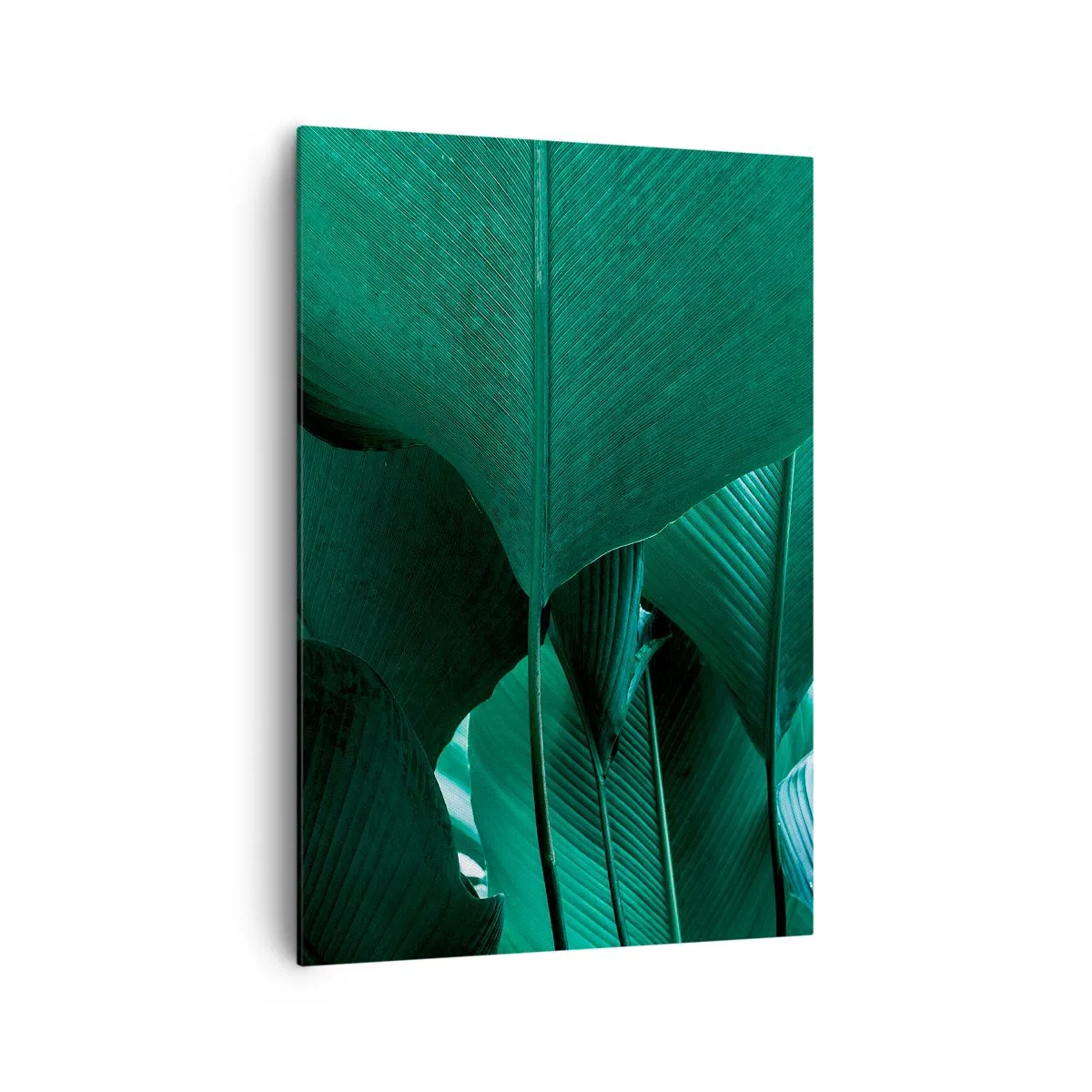 Obraz na płótnie - Zielone liście w minimalistycznej kompozycji - 70x100cm - Zwrócone do światła - Nowoczesna dekoracja ścienna do salonu i sypialni ARTTOR