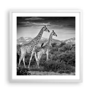 Plakat w białej ramie - Wyższe sfery w Afryce - 50x50 cm