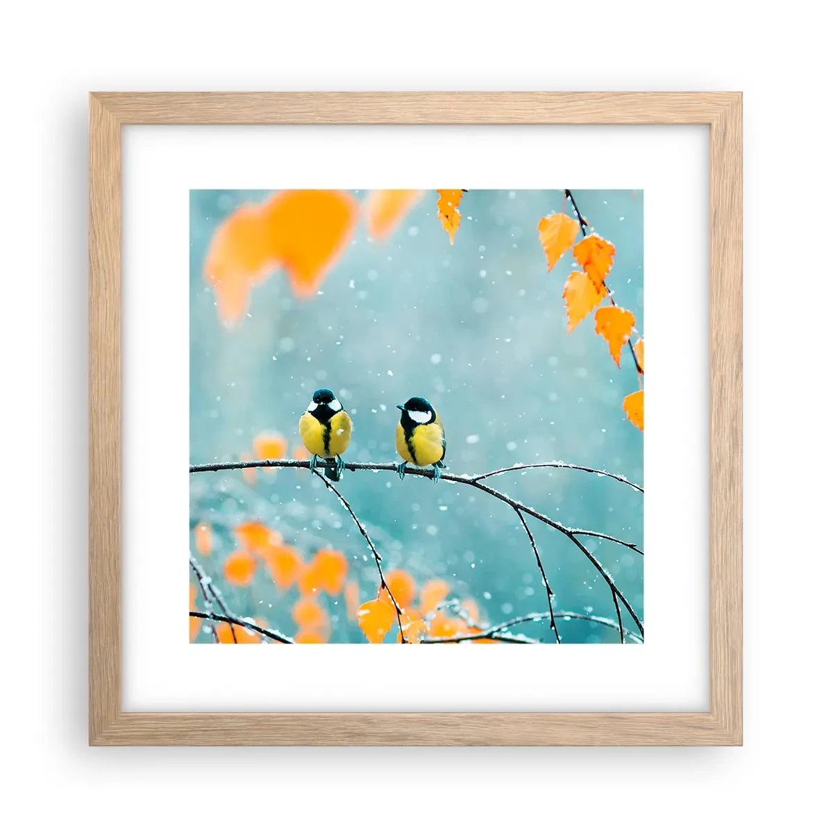 Plakat w ramie jasny dąb - Ptasie plotki - 30x30 cm
