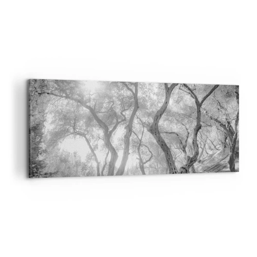 Obraz na płótnie - W oliwnym gaju - 100x40 cm