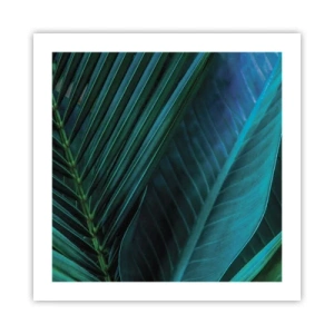 Plakat - Anatomia zieleni - 50x50 cm