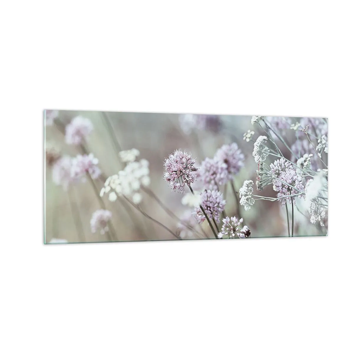 Obraz na szkle - Słodkie filigrany ziół - 100x40 cm