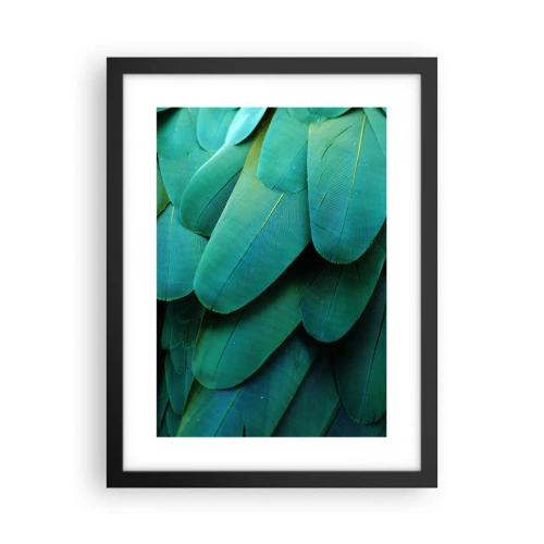 Plakat w czarnej ramie - Precyzja papuziej natury - 30x40 cm