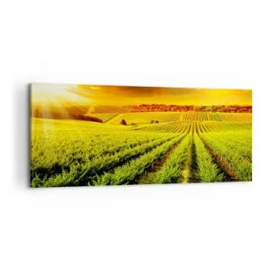 Obraz na płótnie - Pod australijskim słońcem - 100x40 cm