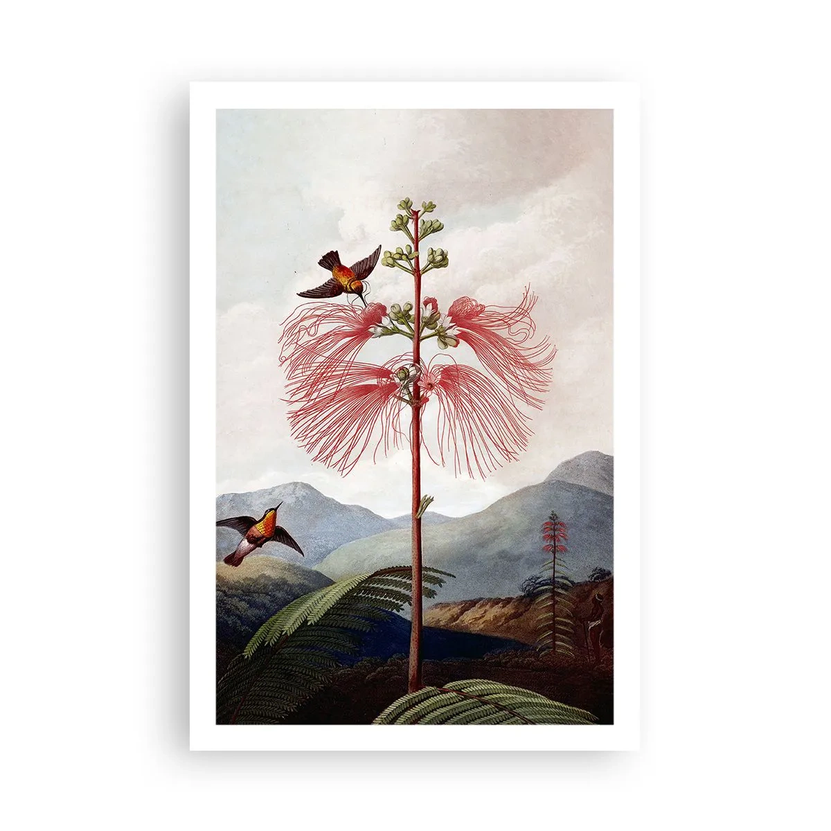 Plakat - W tropikalnym raju - 61x91 cm