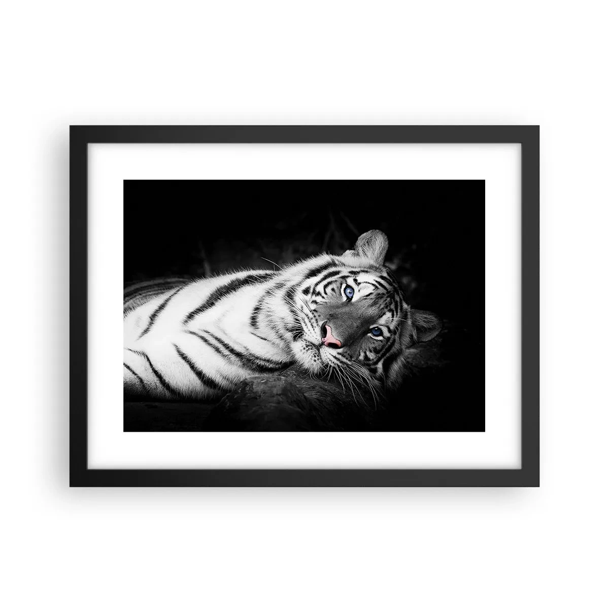 Plakat w czarnej ramie - Dzikość i spokój - 40x30 cm