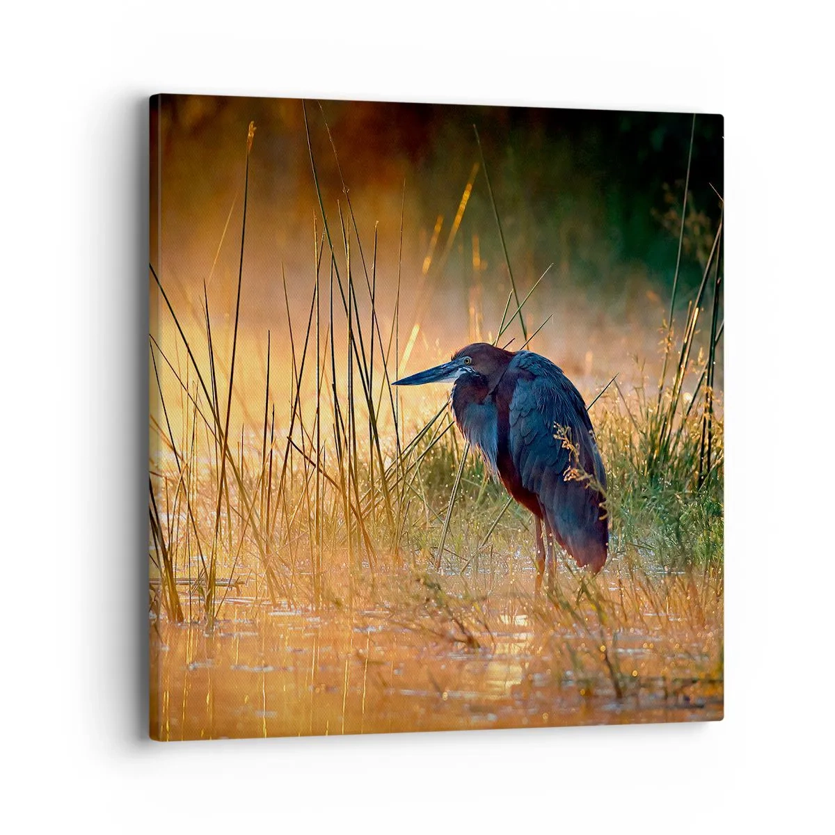 Obraz na płótnie - No dajcie mi spokój z tymi zdjęciami - 40x40 cm