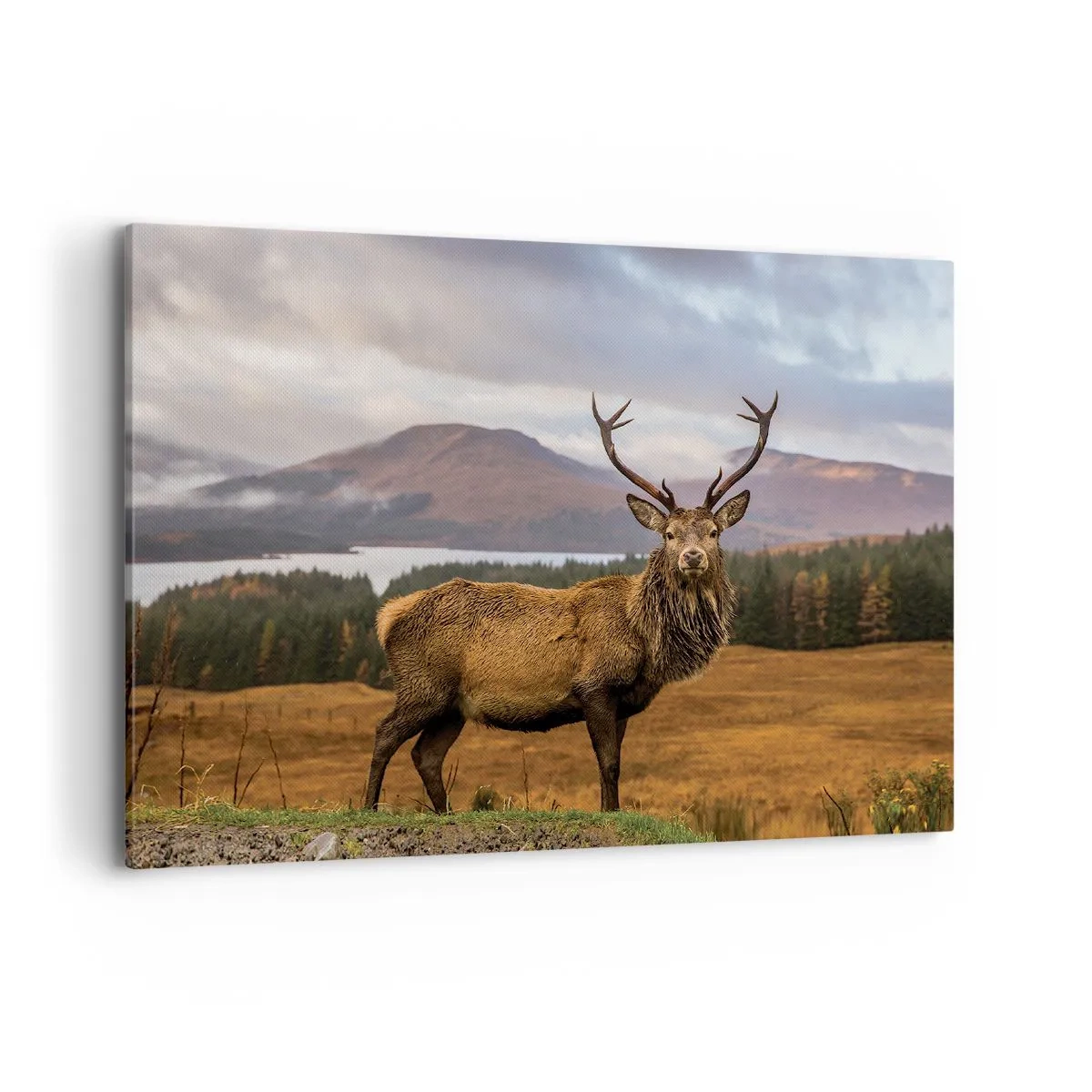 Obraz na płótnie - Jeleń na tle górskiego krajobrazu z jeziorami i lasem - 100x70cm - Majestat natury - Nowoczesna dekoracja ścienna do salonu, kuchni i sypialni ARTTOR