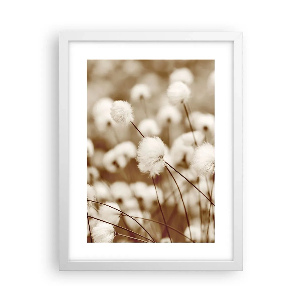 Plakat w białej ramie - Puszysty łan - 30x40 cm