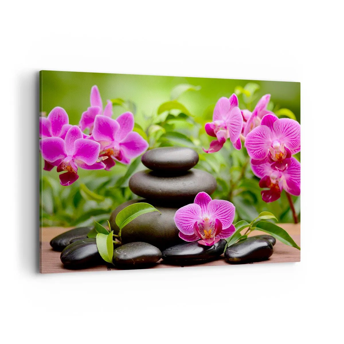 Obraz na płótnie - Różowe orchidee z kamieniami na tle zieleni - 100x70cm - Piramida spokoju - Nowoczesna dekoracja ścienna do salonu, kuchni i sypialni ARTTOR