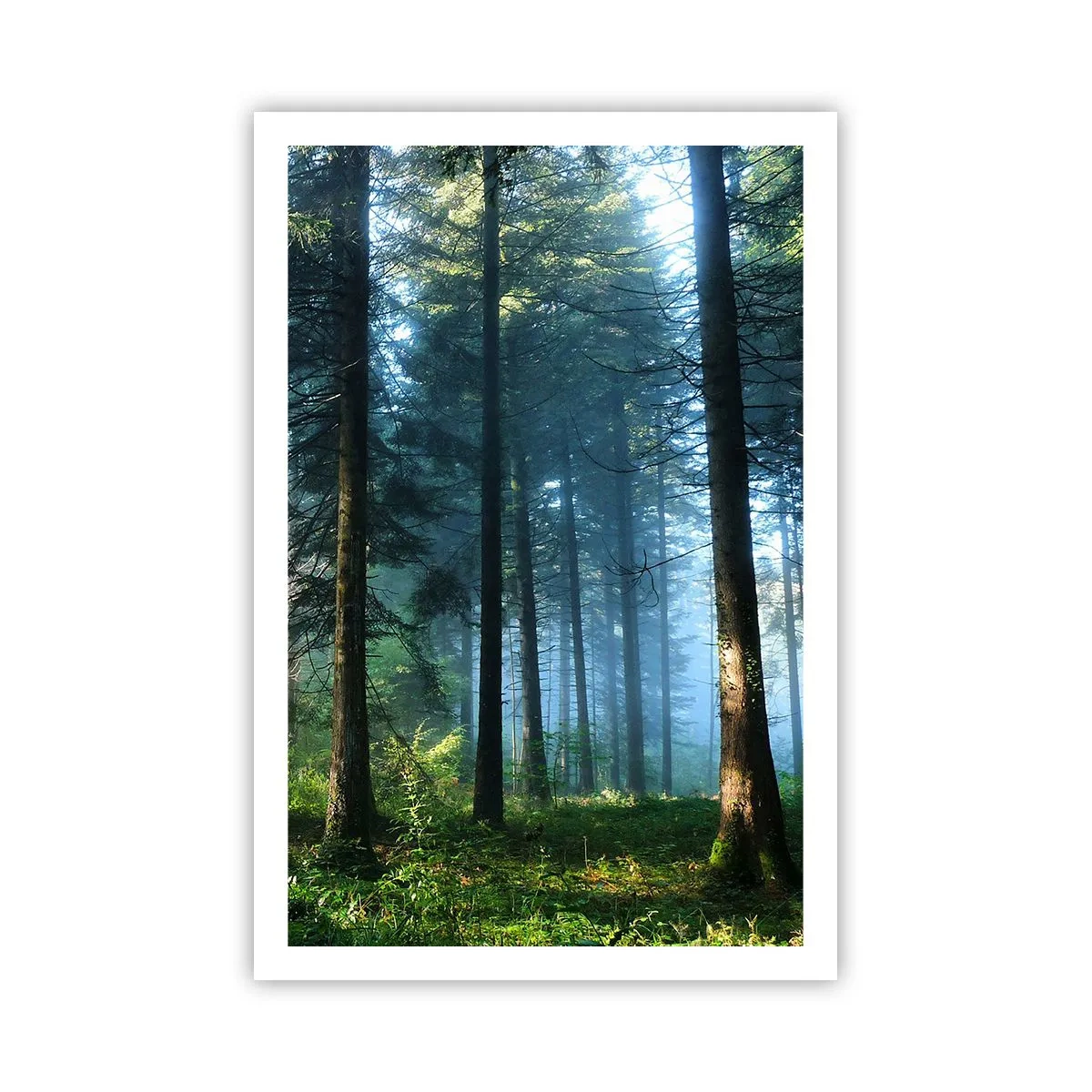 Plakat - Rozpromieniony o poranku - 61x91 cm