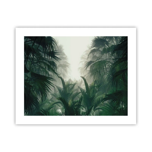 Plakat - Tropikalna tajemnica - 50x40 cm