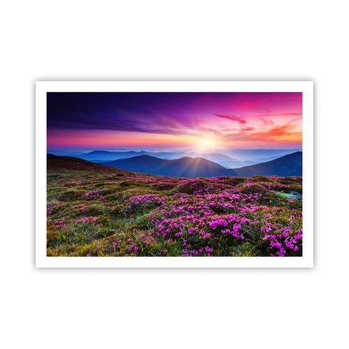 Plakat - Ziół zapachniały świeże pęki od niw - 91x61 cm