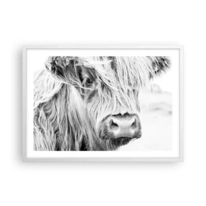 Plakat w białej ramie - Szkocka dzikość - 70x50 cm
