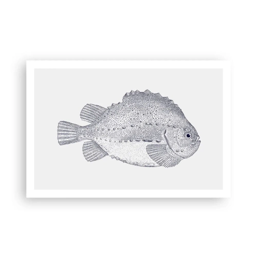 Plakat - Do albumu przyrodnika - 91x61 cm