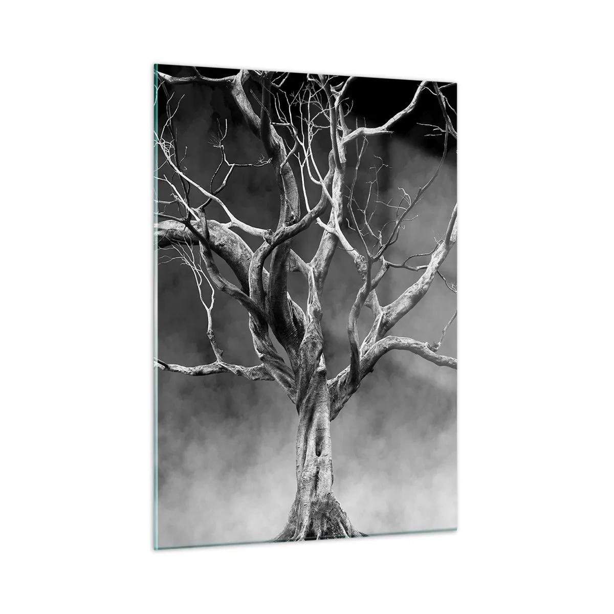 Obraz na szkle - Czarne drzewo na tle mgły - 50x70cm - Pierwotne i święte - Nowoczesna dekoracja ścienna do salonu, kuchni i sypialni ARTTOR