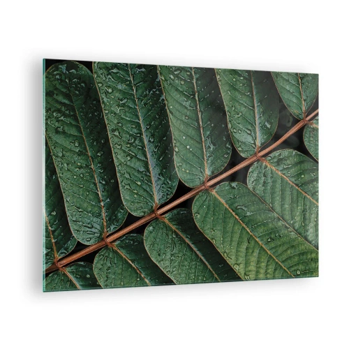 Obraz na szkle - Zbliżenie na zielone liście z kroplami wody - 70x50cm - W zielonym rytmie - Nowoczesna dekoracja ścienna do salonu i sypialni ARTTOR