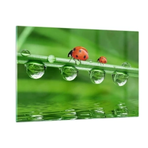 Obraz na szkle - Biedronki na źdźble trawy z kroplami rosy i odbiciem w wodzie - 120x80cm - W drodze całe lato - Nowoczesna dekoracja ścienna do salonu, kuchni i sypialni ARTTOR