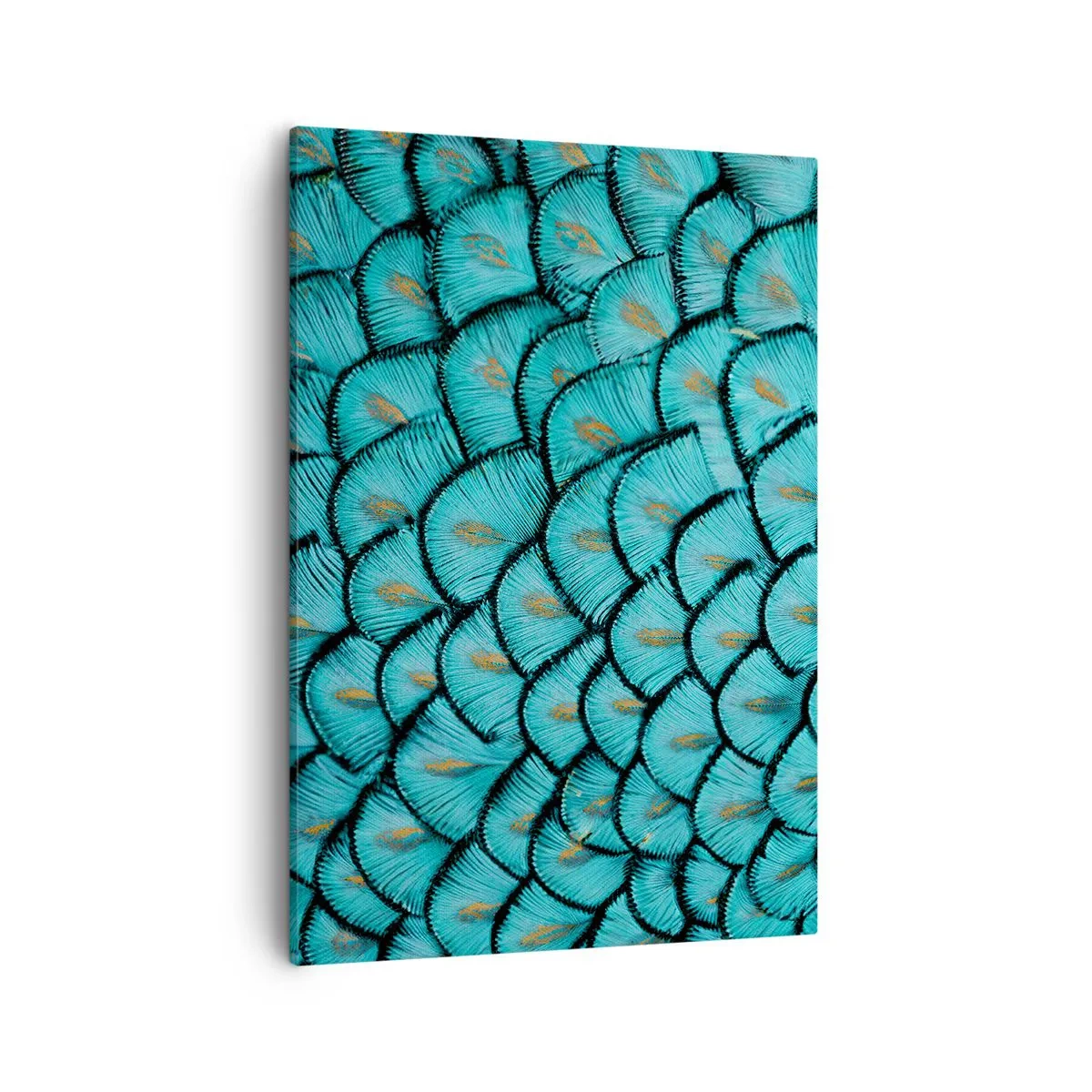 Obraz na płótnie - Detal turkusowych piór pawia - 50x70cm - Wielka gala piór - Nowoczesna dekoracja ścienna do salonu, kuchni i sypialni ARTTOR