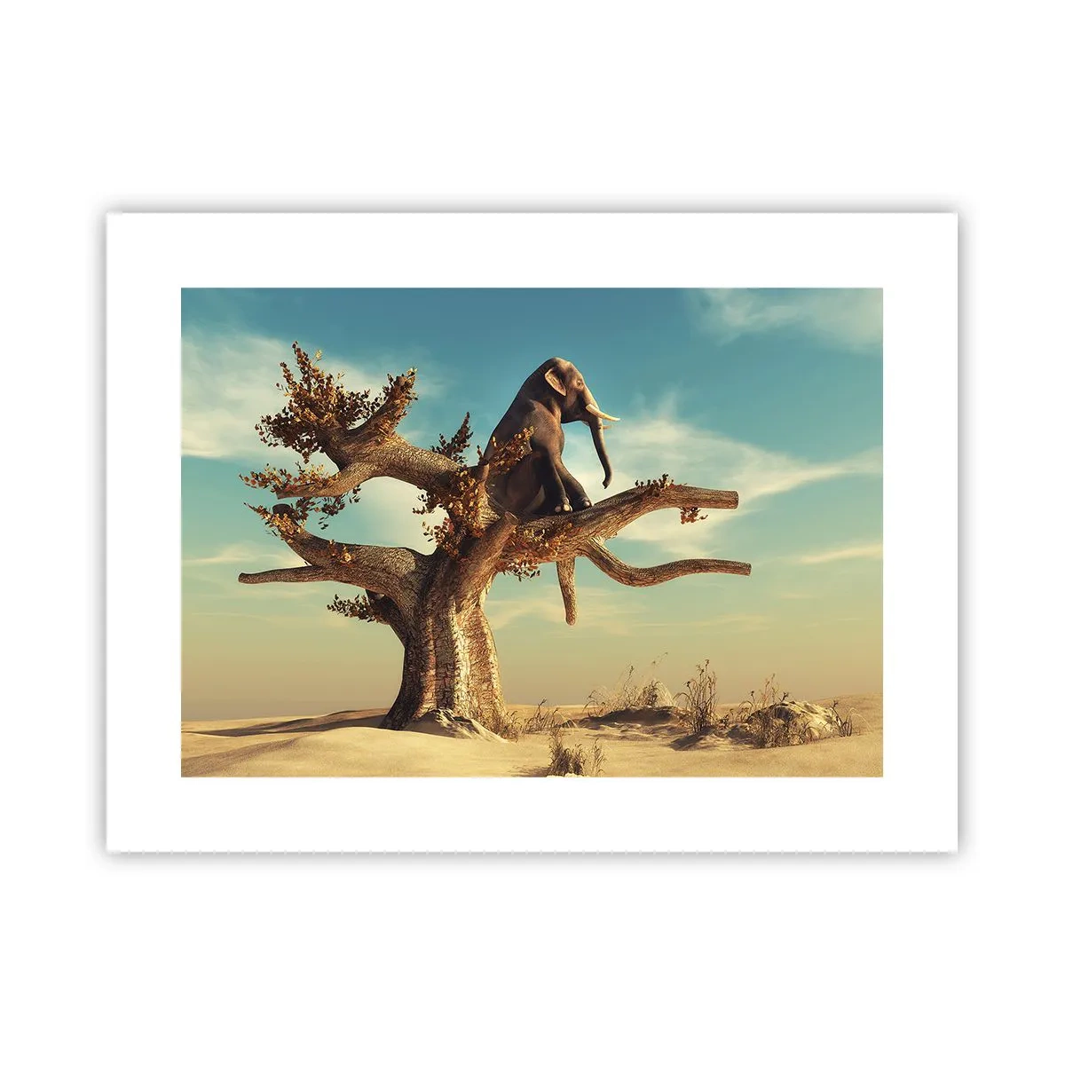 Plakat - Nowy punkt widzenia - 40x30 cm