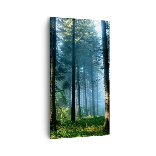 Obraz na płótnie - Rozpromieniony o poranku - 55x100 cm