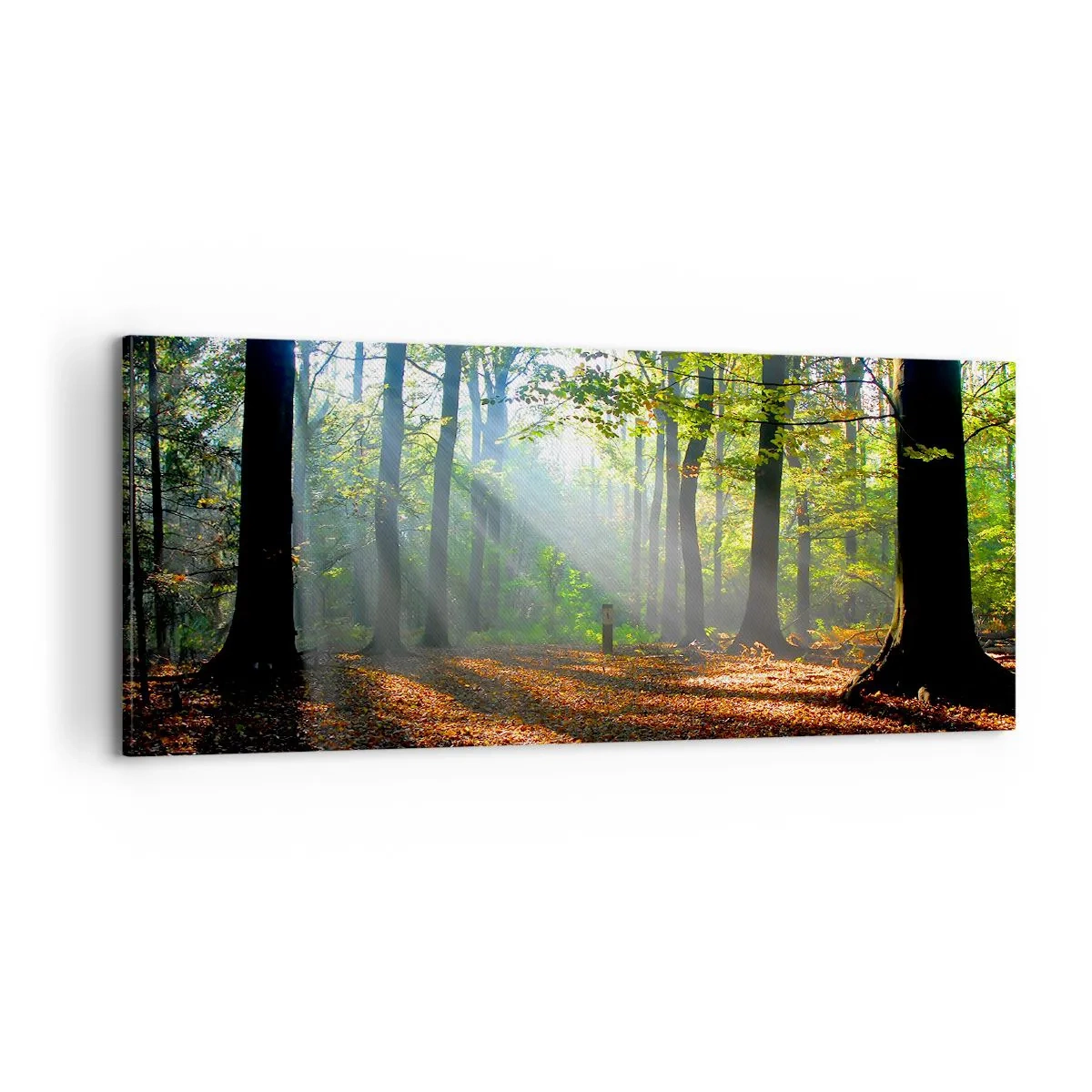Obraz na płótnie - Blaski i cienie - 100x40 cm