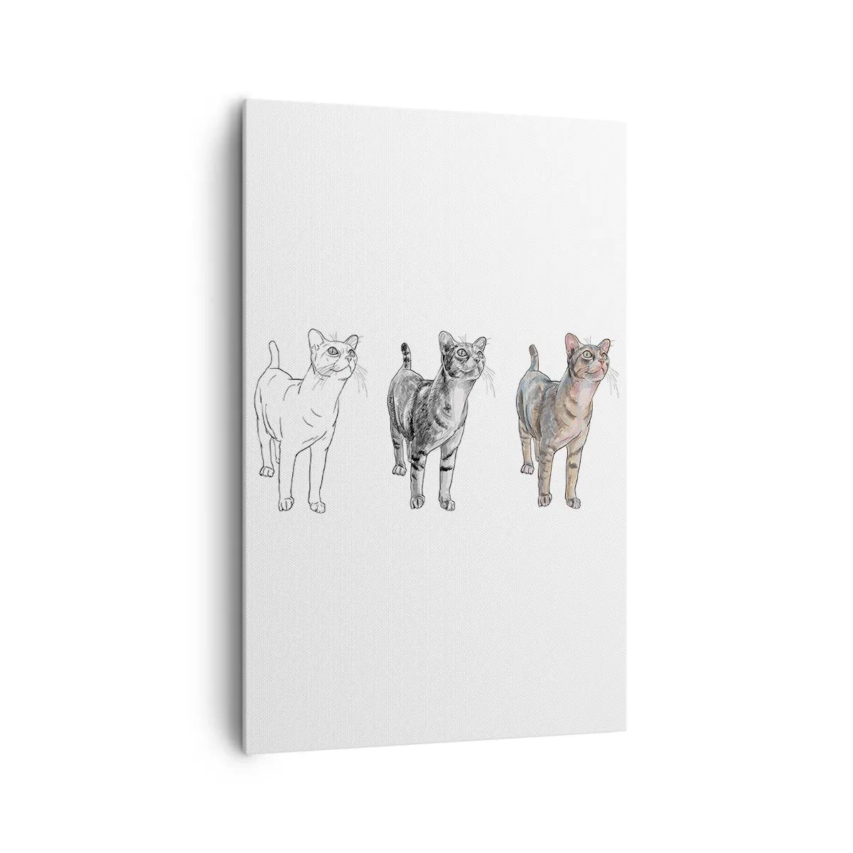 Obraz na płótnie - Ewolucja rysunku kota od szkicu do kolorowej formy - 80x120cm - Lekcja rysunku - Nowoczesna dekoracja ścienna do salonu i sypialni ARTTOR
