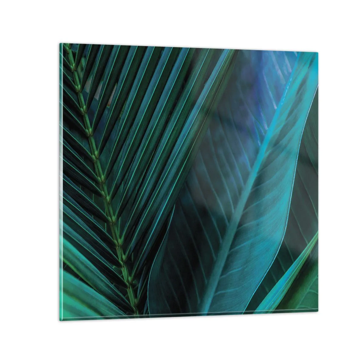 Obraz na szkle - Anatomia zieleni - 70x70 cm