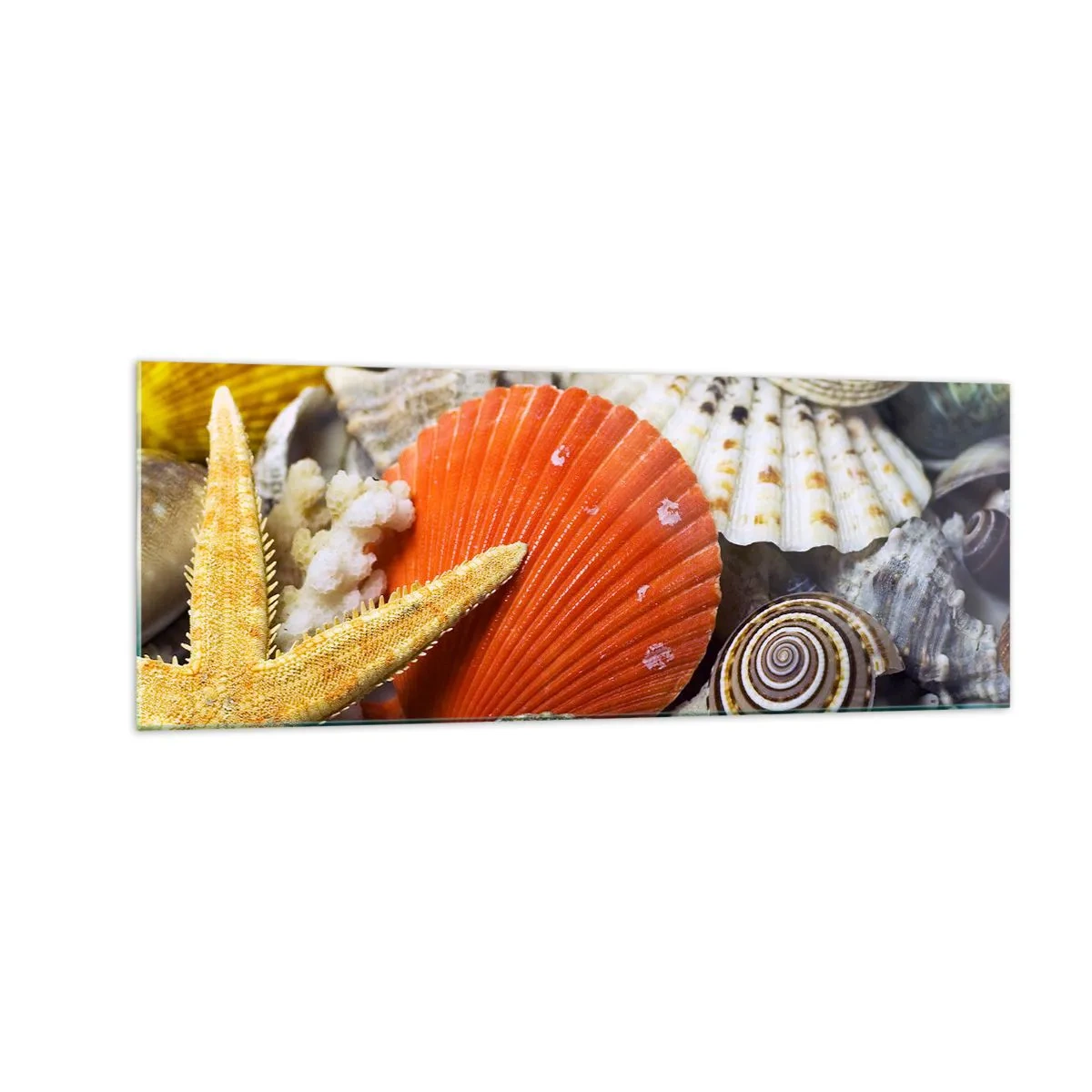 Obraz na szkle - Muszle i rozgwiazda w kompozycji morskiej - 140x50cm - Skarby oceanu - Nowoczesna dekoracja ścienna do salonu i sypialni ARTTOR