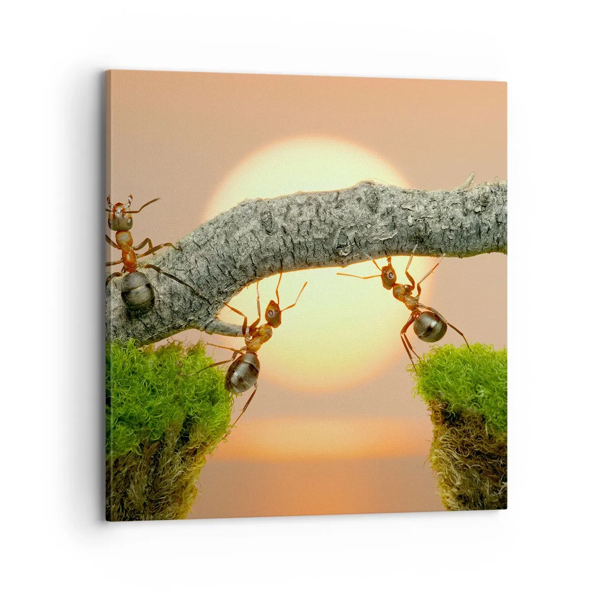 Obraz na płótnie - Radosna, wspólna praca - 70x70 cm