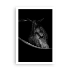 Plakat - Czarny książę - 61x91 cm