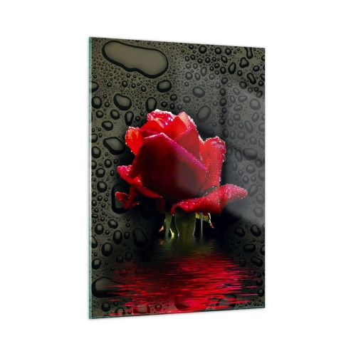 Obraz na szkle - Czerwona róża z kroplami wody na ciemnym tle - 50x70cm - Czerwone i czarne - Nowoczesna dekoracja ścienna do salonu, kuchni i sypialni ARTTOR
