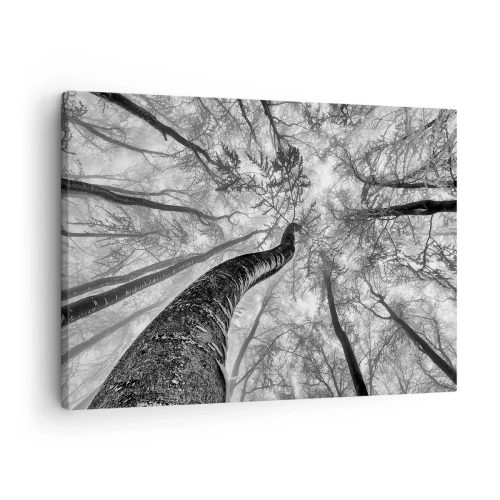 Obraz na płótnie - Perspektywa drzew w lesie widzianych od dołu w odcieniach szarości - 70x50cm - Wyścig do światła - Nowoczesna dekoracja ścienna do salonu i sypialni ARTTOR