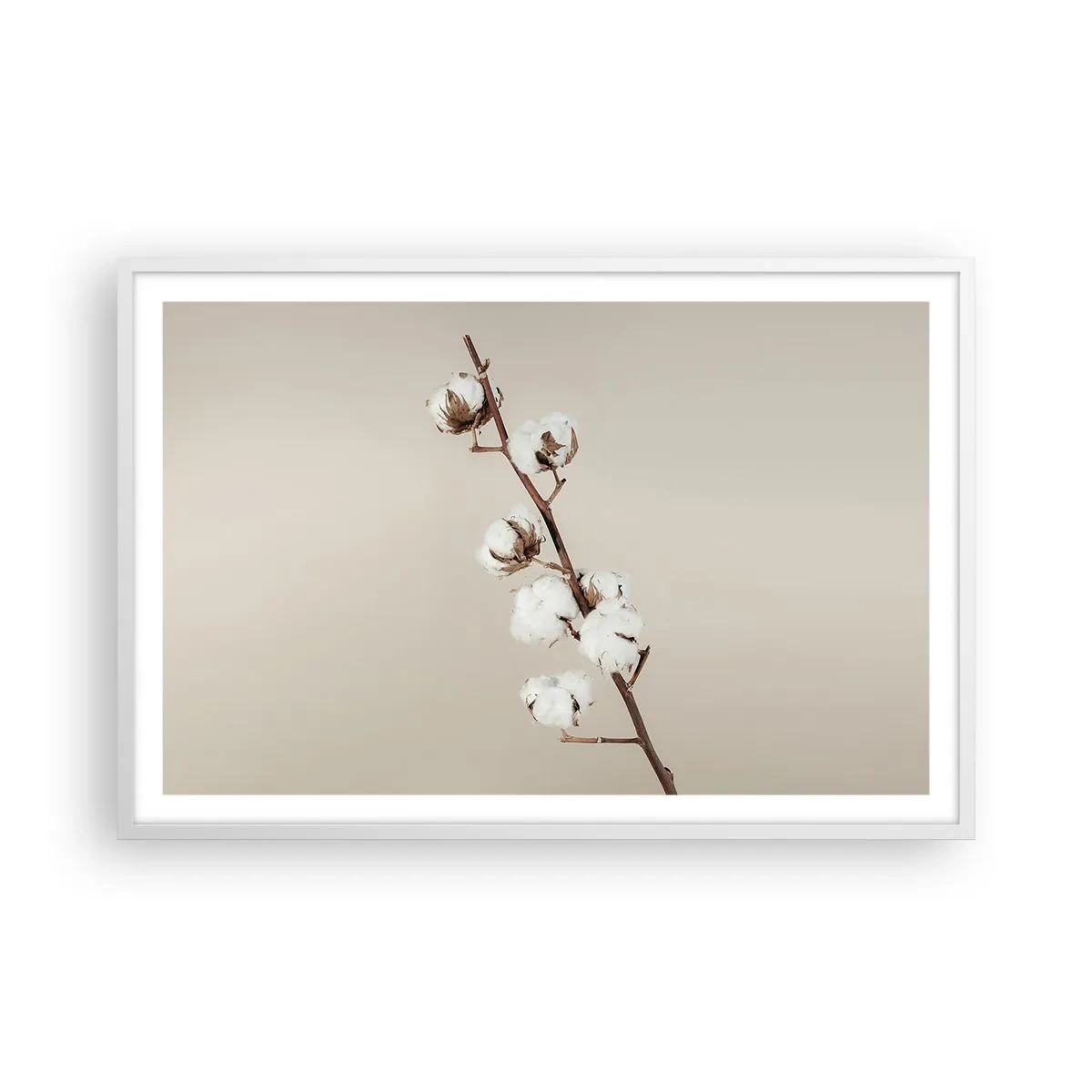 Plakat w białej ramie - U źródła miękkości - 91x61 cm