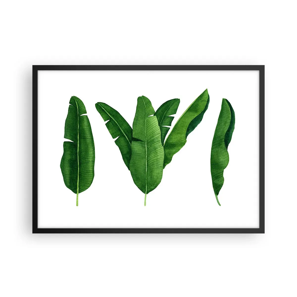 Plakat w czarnej ramie - Trzy liście bananowca w artystycznym ujęciu - 70x50cm - Zielona symetria - Nowoczesna dekoracja ścienna do salonu i sypialni ARTTOR
