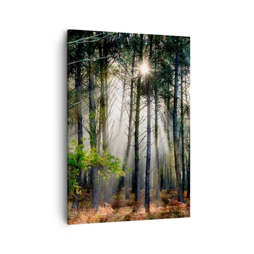 Obraz na płótnie - Promienie słońca przenikające przez gęsty las o poranku - 50x70cm - Leśne uroczysko - Nowoczesna dekoracja ścienna do salonu, kuchni i sypialni ARTTOR
