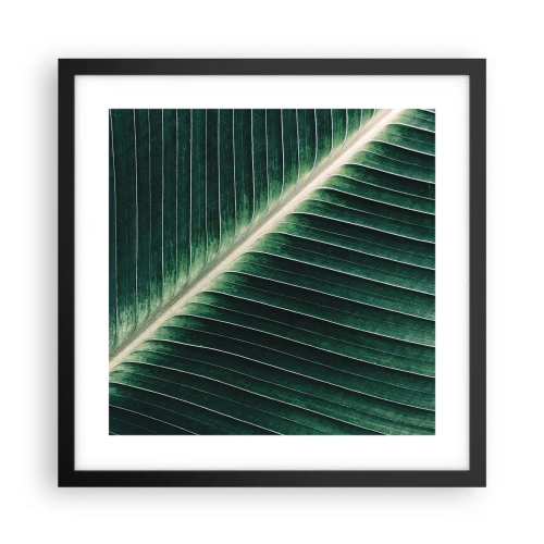Plakat w czarnej ramie - Rytm natury - 40x40 cm