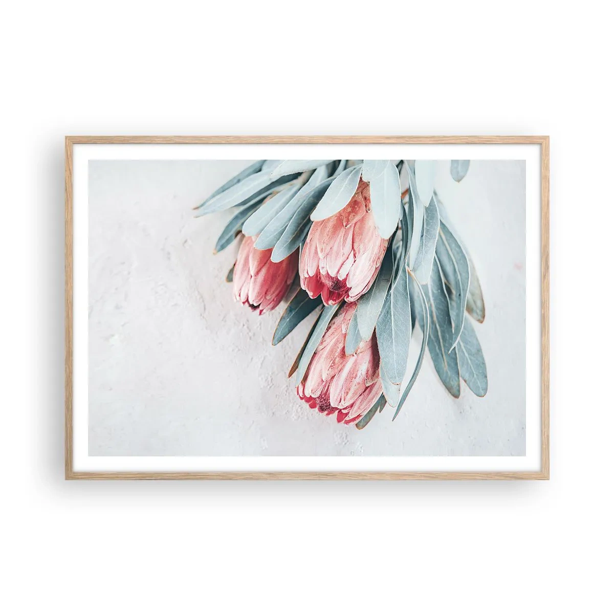 Plakat w ramie jasny dąb - Zawstydzone własną urodą - 100x70 cm