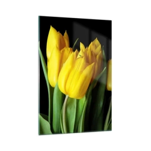 Obraz na szkle - Bukiet żółtych tulipanów na czarnym tle - 80x120cm - Powstały z czystego słońca - Nowoczesna dekoracja ścienna do salonu i sypialni ARTTOR