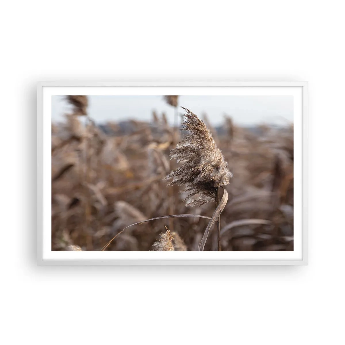 Plakat w białej ramie - Czas odlecieć z wiatrem - 91x61 cm