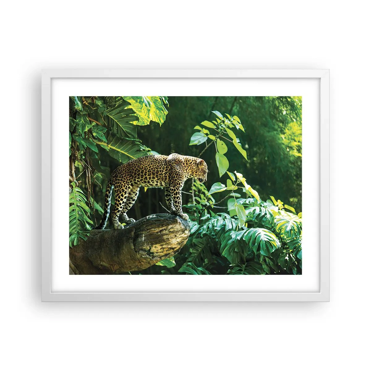 Plakat w białej ramie - Na łowy? - 50x40 cm