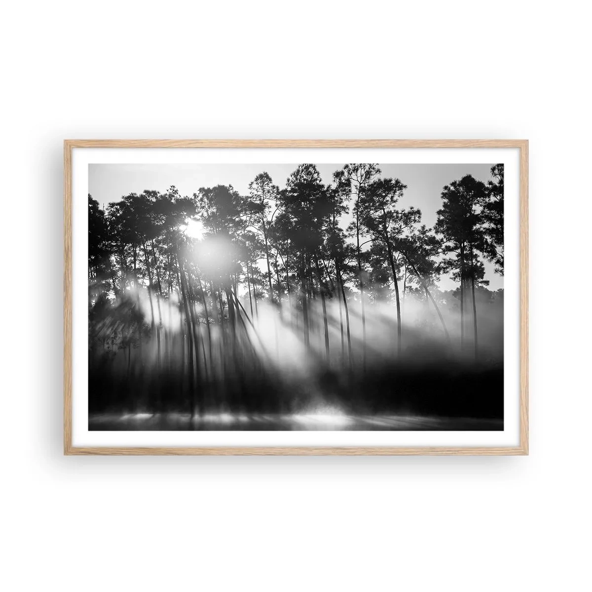 Plakat w ramie jasny dąb - Niepowstrzymane słońce - 91x61 cm