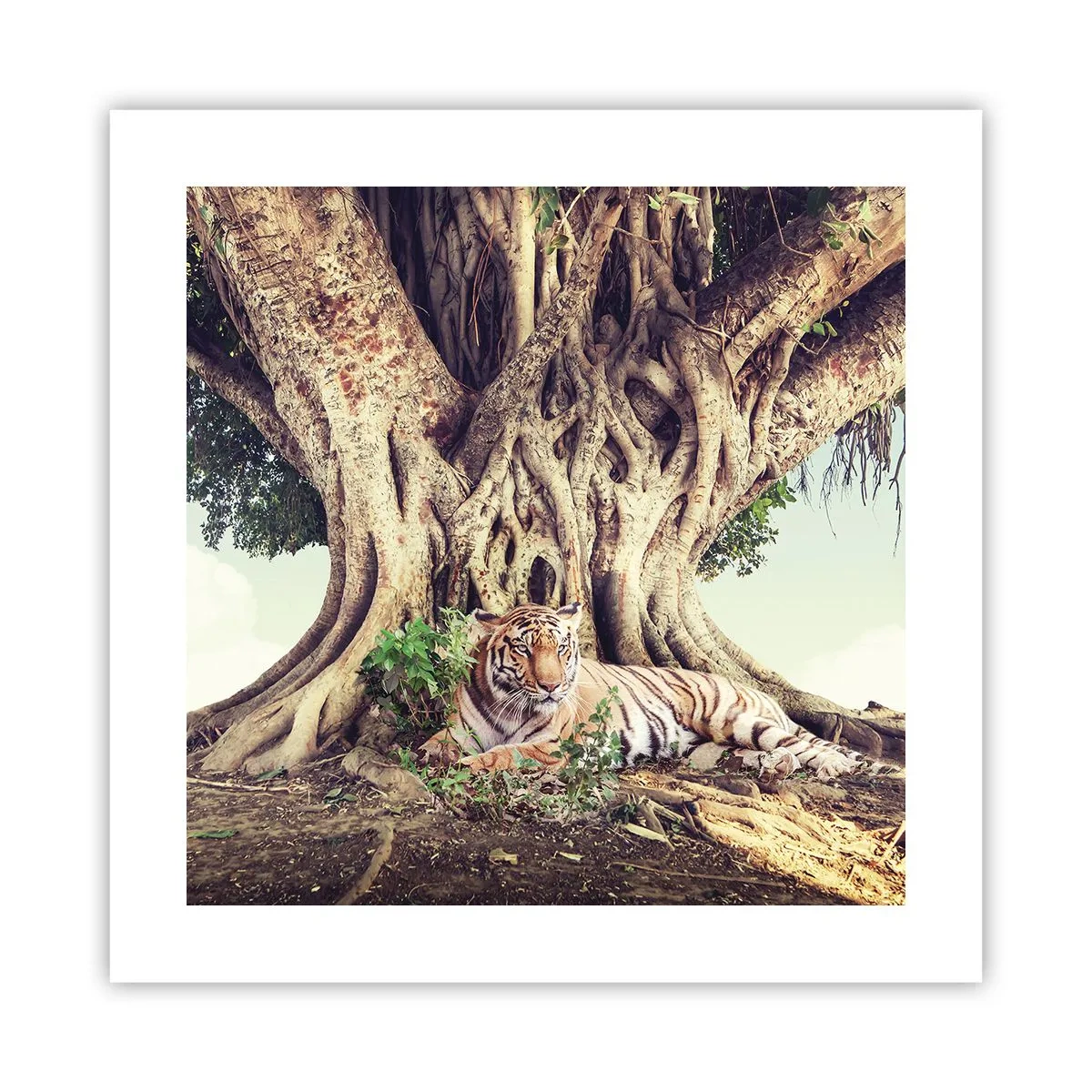 Plakat - Widok z Księgi Rodzaju - 40x40 cm